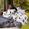 Ambiente con hipopótamo y cama vestida con funda nórdica tessitura toscana grease