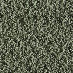 risueno-520-menkanta