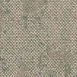 rainforest-canopy-ucg-drybark