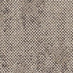 rainforest-neutral-ucg-drybark