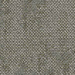 spinifex-grass-ucg-drybark