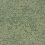 desert-shrub-ucg-escarpment