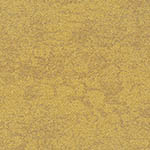 rainforest-floor-ucg-escarpment