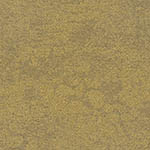 spinfex-grass-ucg-escarpment