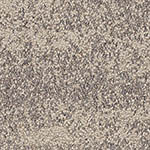 rainfortest-ucg-sandbank
