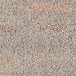 desert-ucg-shallows