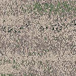rainforest-ucg-shallows