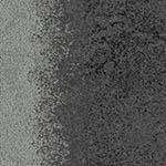 charcoal-lichen-ur-101