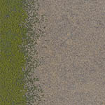 flax-grass-ur-101