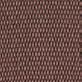 colorist-086