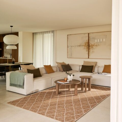 colocar alfombra en el salón