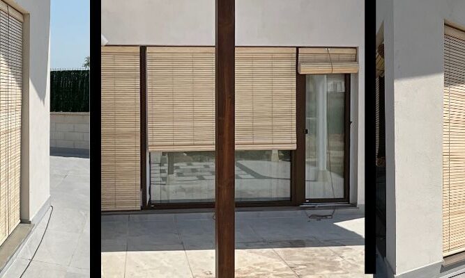 proyecto alicantinas