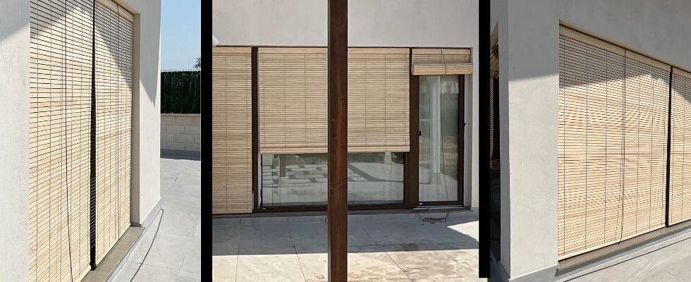 proyecto alicantinas