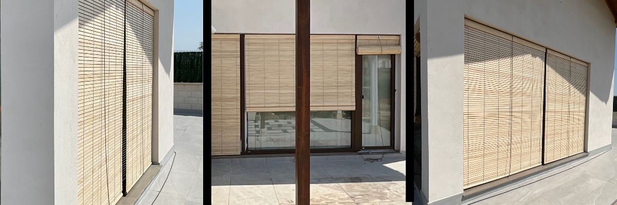 proyecto alicantinas