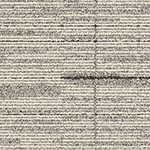 dl-comesaround-shell